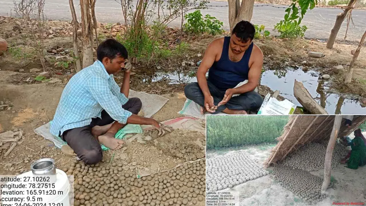 अनूठी पहल: सीडवॉल से वन विभाग द्वारा कराया जा रहा पौधारोपण
