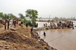 Wounds, Nature, Dera Sacha Sauda, Ointment, Gurmeet Ram Rahim, Welfare Work