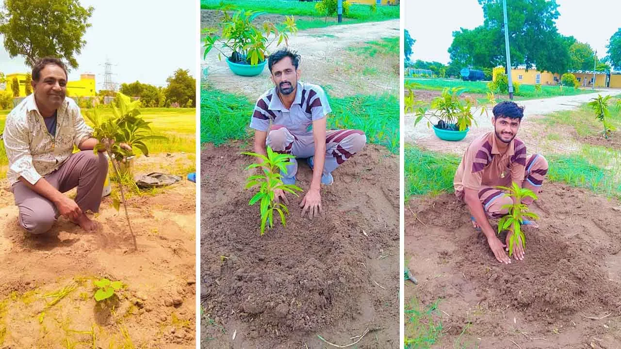 पर्यावरण संरक्षण की दिशा में गुजरात की साध-संगत का कदम