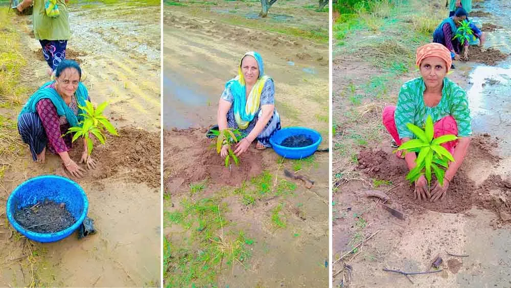 पर्यावरण संरक्षण की ओर गुजरात की साध-संगत का कदम
