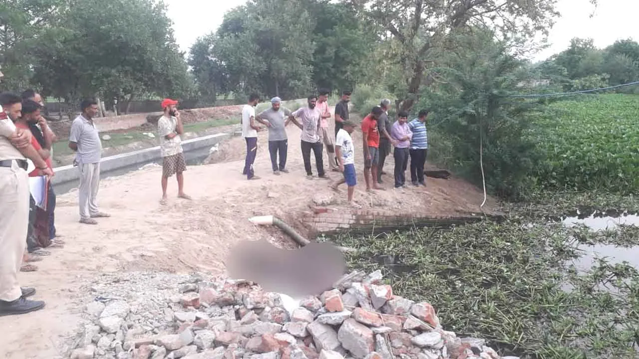 जोहड़ में पानी पीने के लिए उत्तरी भैंसों को लगा करंट एक की मौत