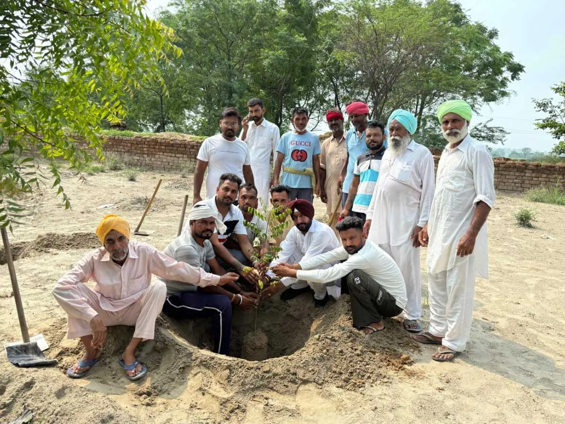 आओ मिलकर पेड़ लगाए मुहिम के तहत गांव तलवाड़ी में किया गया पौधारोपण