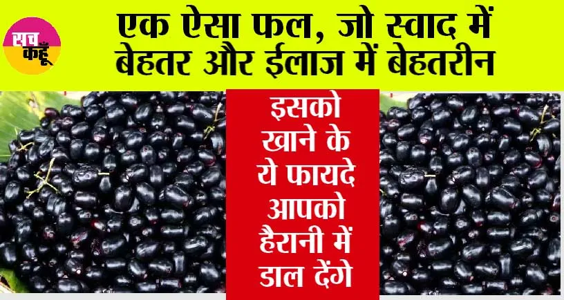 Jamun Benefits: औषधीय गुणों से भरपूर, बीमारियों से रखे दूर ये फल