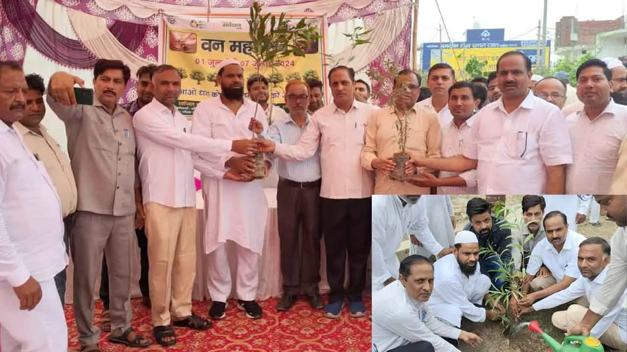 वन महोत्सव कार्यक्रम आयोजित कर पालिका प्रशासन ने किया पौधरोपण