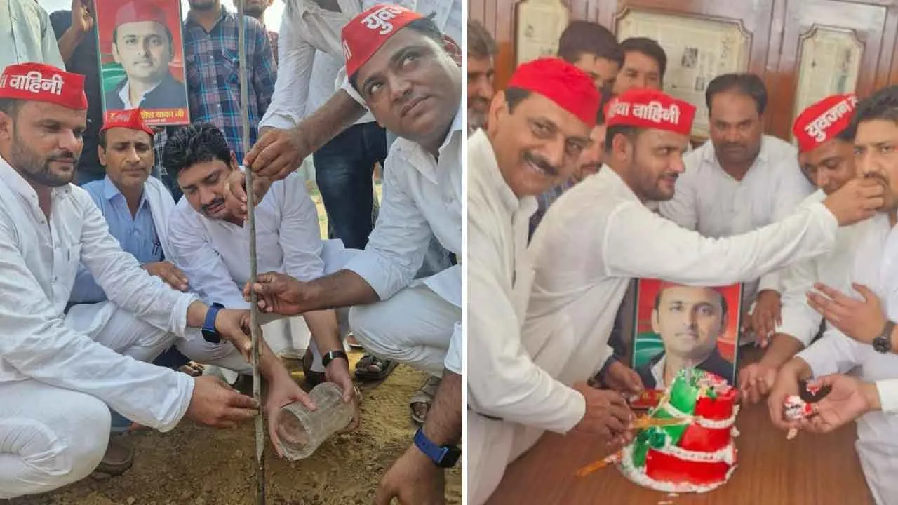 सपाइयों ने पौधरोपण कर मनाया अखिलेश यादव का जन्मदिन