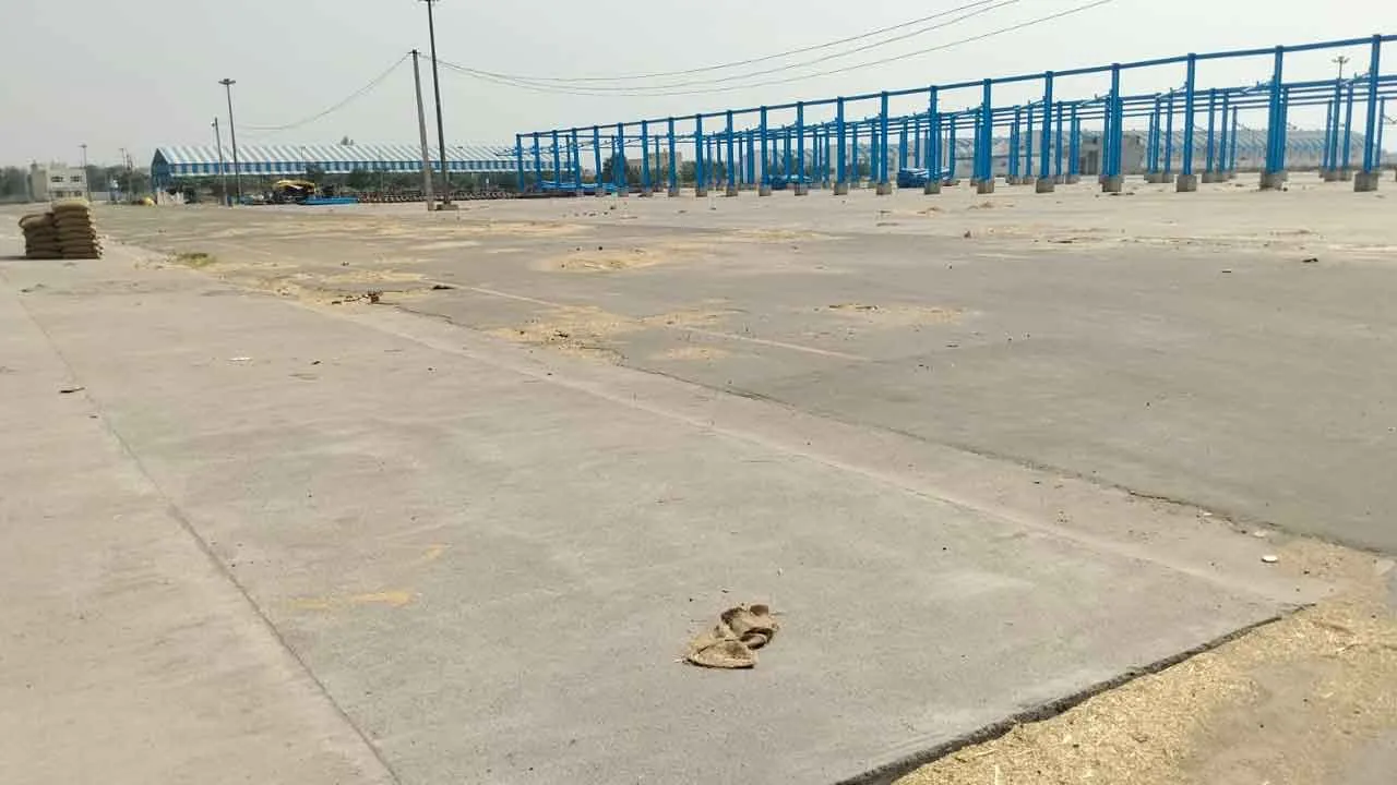 89 एकड़ में बनी कैथल की अतिरिक्त व नई अनाज मंडी में करोड़ो रुपए के विकास कार्य शुरू
