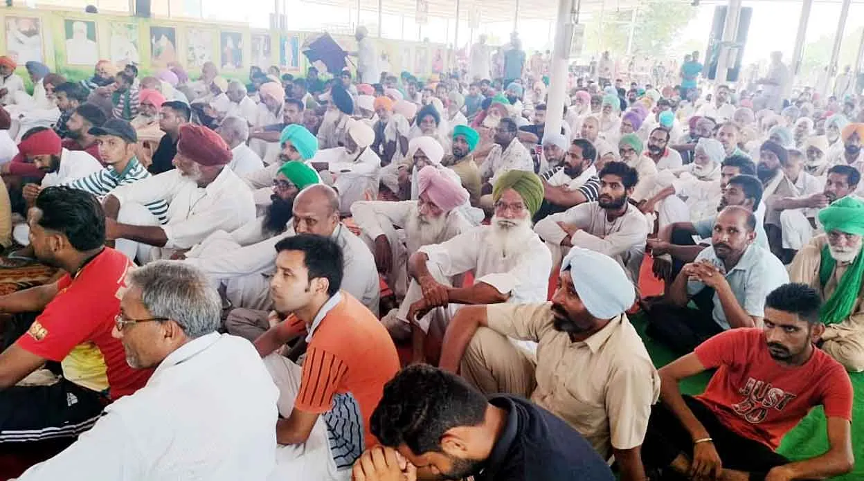 भीषण गर्मी के बावजूद बड़ी संख्या में मानसा डेरे में नामचर्चा में उमड़ी साध-संगत
