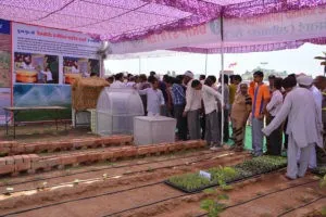 Dera Sacha Sauda, Gurmeet Ram Rahim, Helps, Anndata Bachao Campaign
