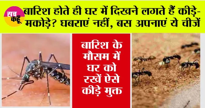 Monsoon Tips: बारिश होते ही घर में दिखने लगते हैं कीड़े-मकोड़े? घबराएं नहीं, बस अपनाएं ये चीजें, भागेंगे कोसों दूर