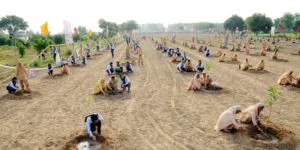 Dera Sacha Sauda, Precedence, Green Revolution, Gurmeet Ram Rahim 