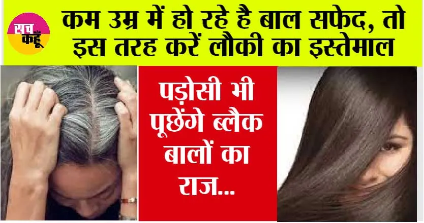Premature White Hair: कम उम्र में हो रहे है बाल सफेद, तो इस तरह करें लौकी का इस्तेमाल, पड़ोसी भी पूछेंगे ब्लैक बालों का राज…