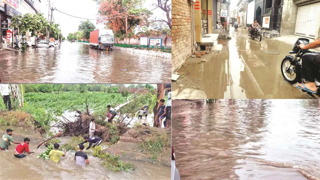 Heavy Rain: मानसून की पहली बारिश से मुक्तसर-बठिंडा लबालब