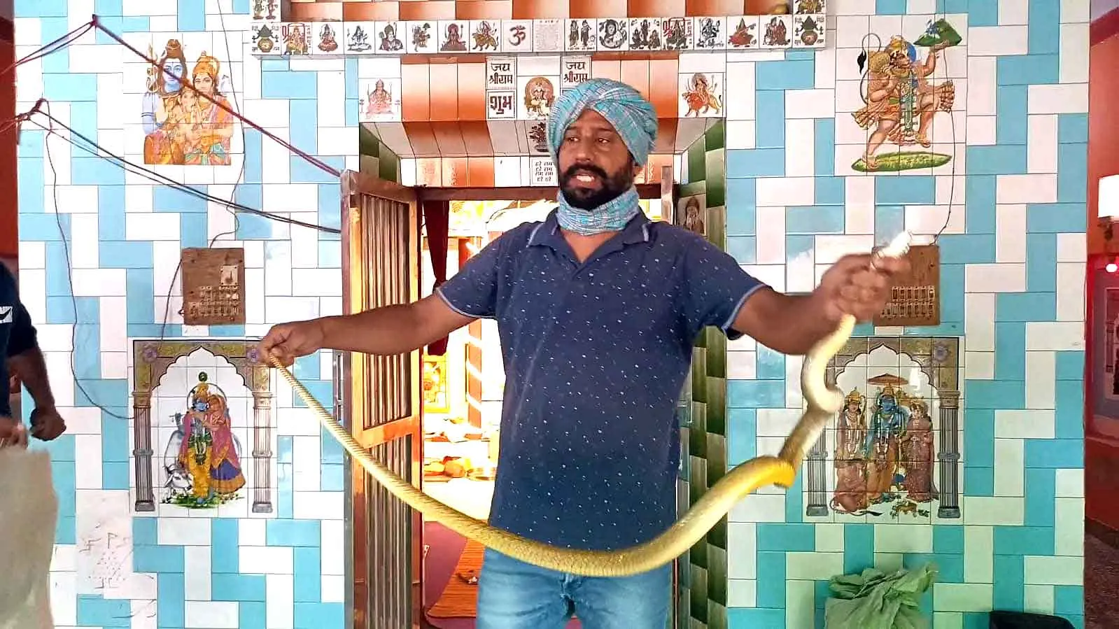 Snake News : 6 फीट लम्बा सांप हनुमान मूर्ति के पास कुंडली मारे बैठा था, देखते ही हुए होश फाख्ता  