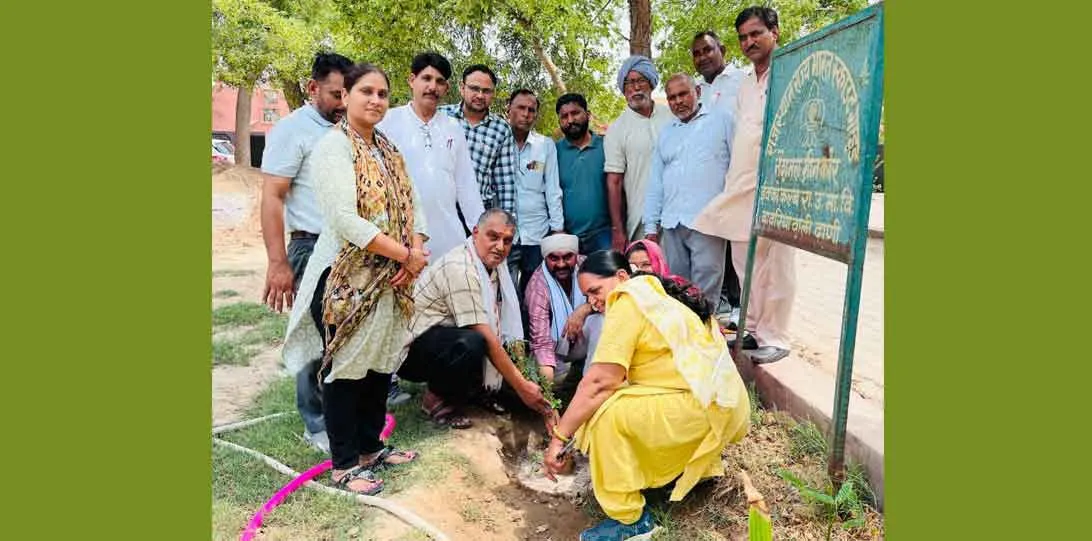 Tree Plantation : विद्यालय प्रांगण में रोपे जाएंगे 1810 पौधे