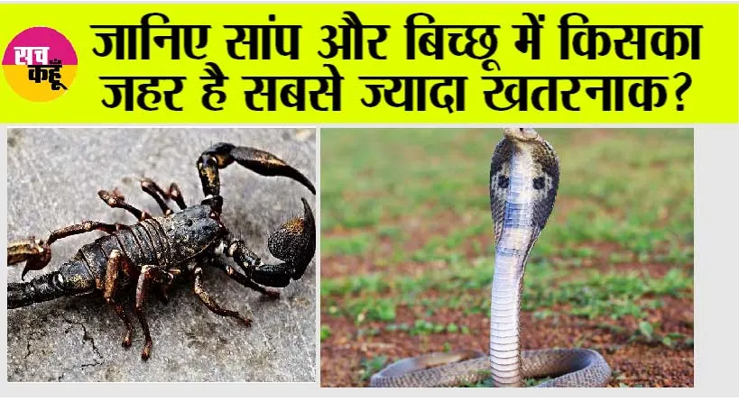 Venom: इन जहरीले जीवों में ज्यादा जहरीला कौन है बिच्छू या सांप? यहां पढ़ें पूरी जानकारी