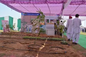 Dera Sacha Sauda, Gurmeet Ram Rahim, Helps, Anndata Bachao Campaign