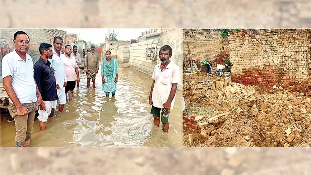 भारी बारिश से जौहड़ का पानी हुआ ओवरफ्लो, गलियों-घरों में हुआ जमा
