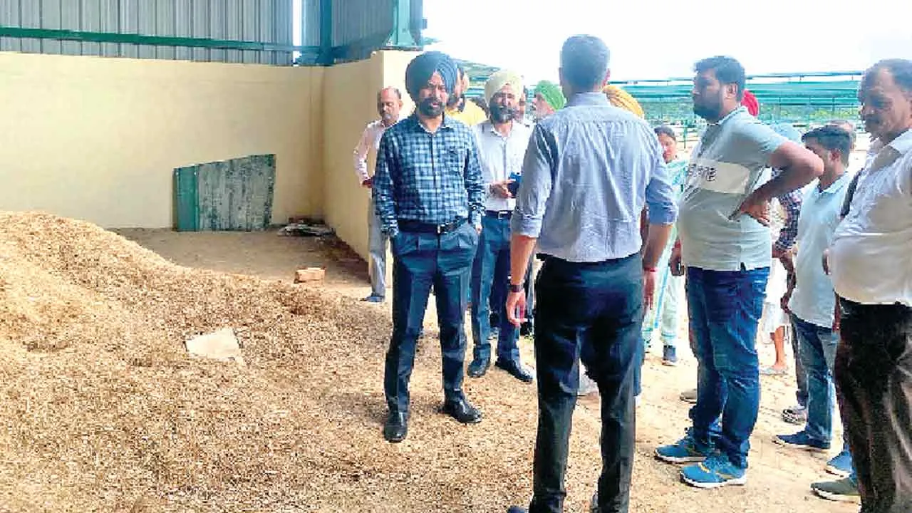 झुंबा में सात एकड़ में सरकारी गौशाला लगभग बनकर तैयार