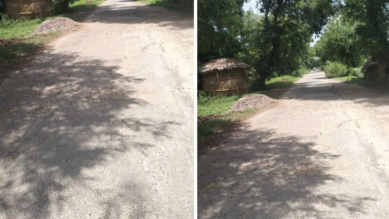 स्याना सैदपुर मार्ग की मरम्मत कराने हेतु सौंपा ज्ञापन