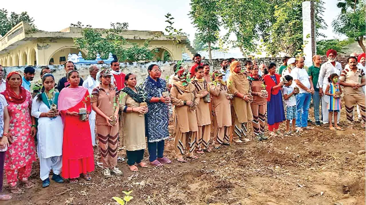 Tree Plantation: डबवाली की साध संगत ने धरा को बचाने में दिया अहम योगदान!