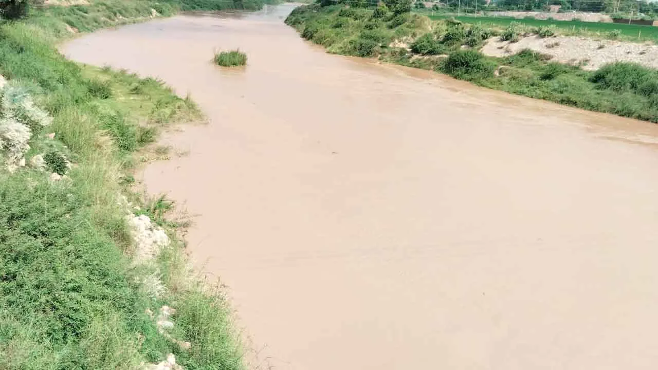 Ghaggar River: घग्गर नदी में बरसाती पानी पहुंचा, किसान खुश
