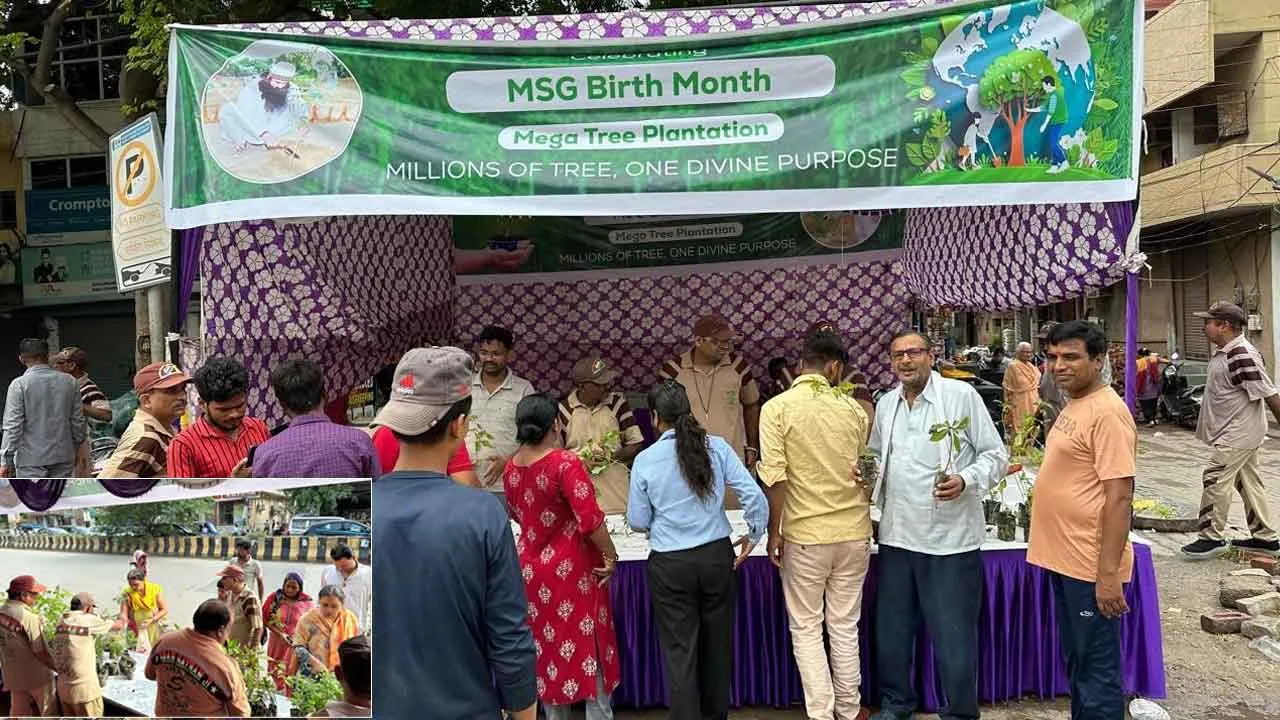गुुरुग्राम में डेरा सच्चा सौदा के सेवादारों ने लगाया पौधों का भंडारा