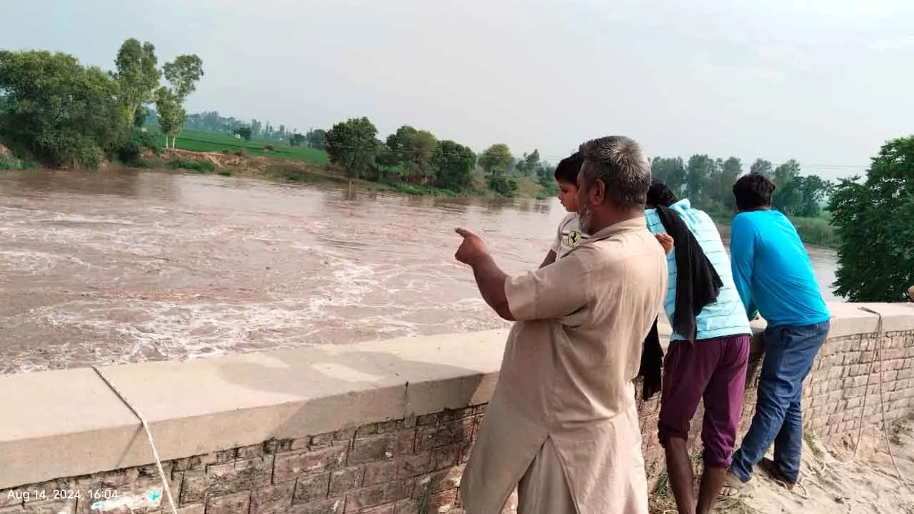 Ghaggar River: बढ़ा घग्घर नदी का जलस्तर: 24 घंटों में बढ़ा 6000 क्यूसेक पानी
