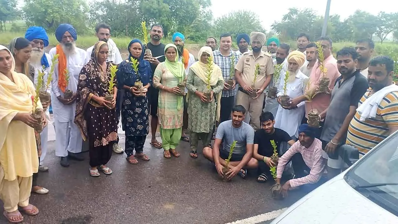 सिंचाई विभाग के कर्मचारियों ने पौधे वितरण और लंगर लगाकर मनाया स्वतंत्रता दिवस
