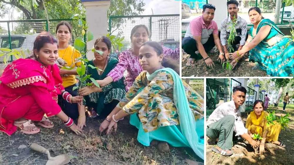 Tree Plantation: जम्मू-कश्मीर की साध-संगत ने लगाए पौधे