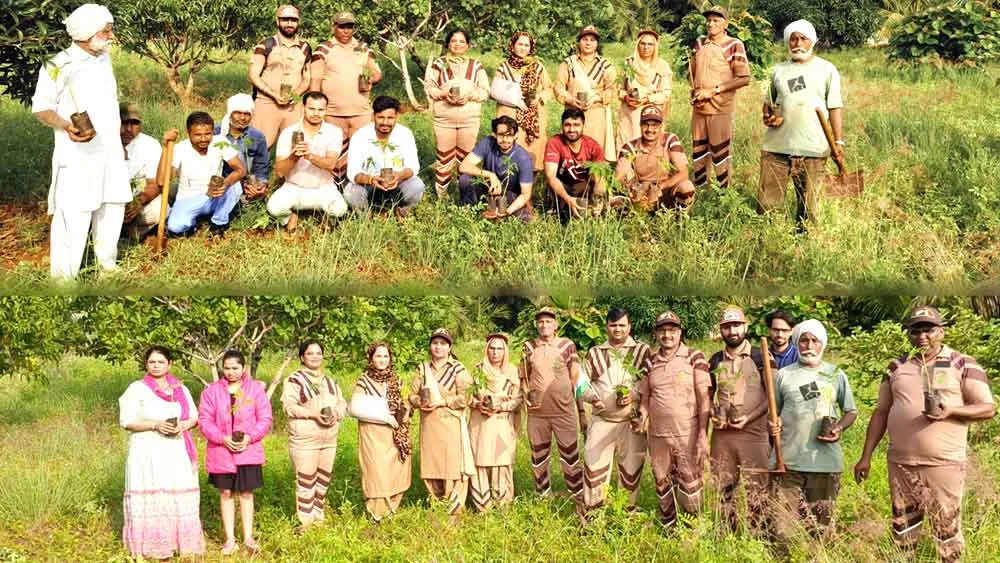 Tree Plantation: कर्नाटक के डेरा श्रद्धालुओं ने पौधारोपण कर समाज को दिया संदेश