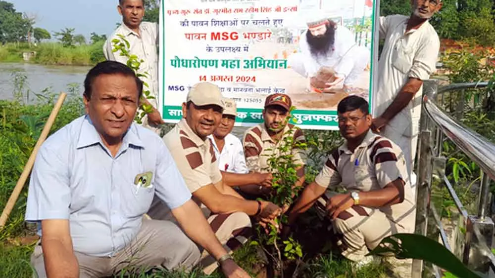 Tree Plantation: ब्लाक खतौली की साध-संगत ने पौधारोपण कर मनाया पावन अवतार माह