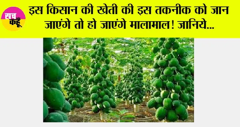Kisan News: इस किसान की खेती की इस तकनीक को जान जाएंगे तो हो जाएंगे मालामाल! जानिये…