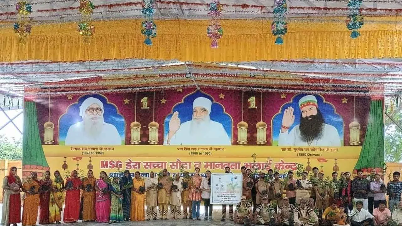 Kota Tree Plantation: पावन MSG भण्डारे के उपलक्ष में  कोटा में किया वृक्षारोपण, लगाए इतने हजार पौधे!