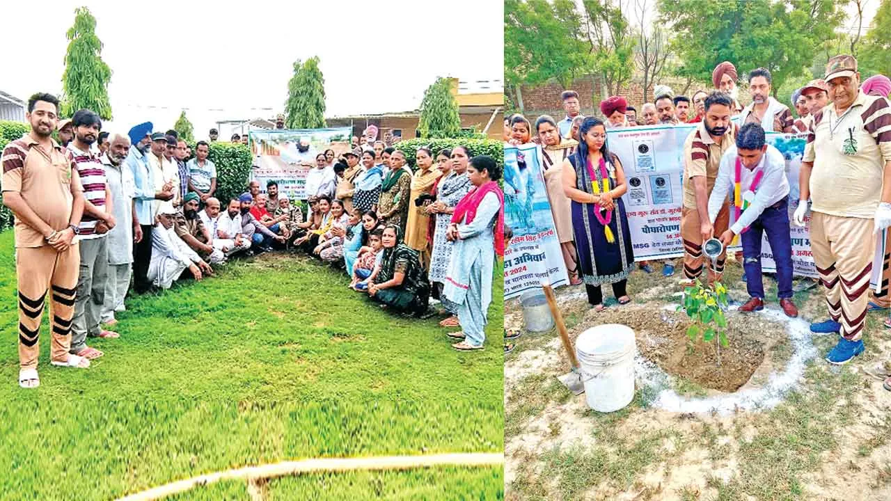 इतने हजार पौधे लगाकर पंजाब की साध-संगत ने धरा को बचाने का किया ये सराहनीय कार्य