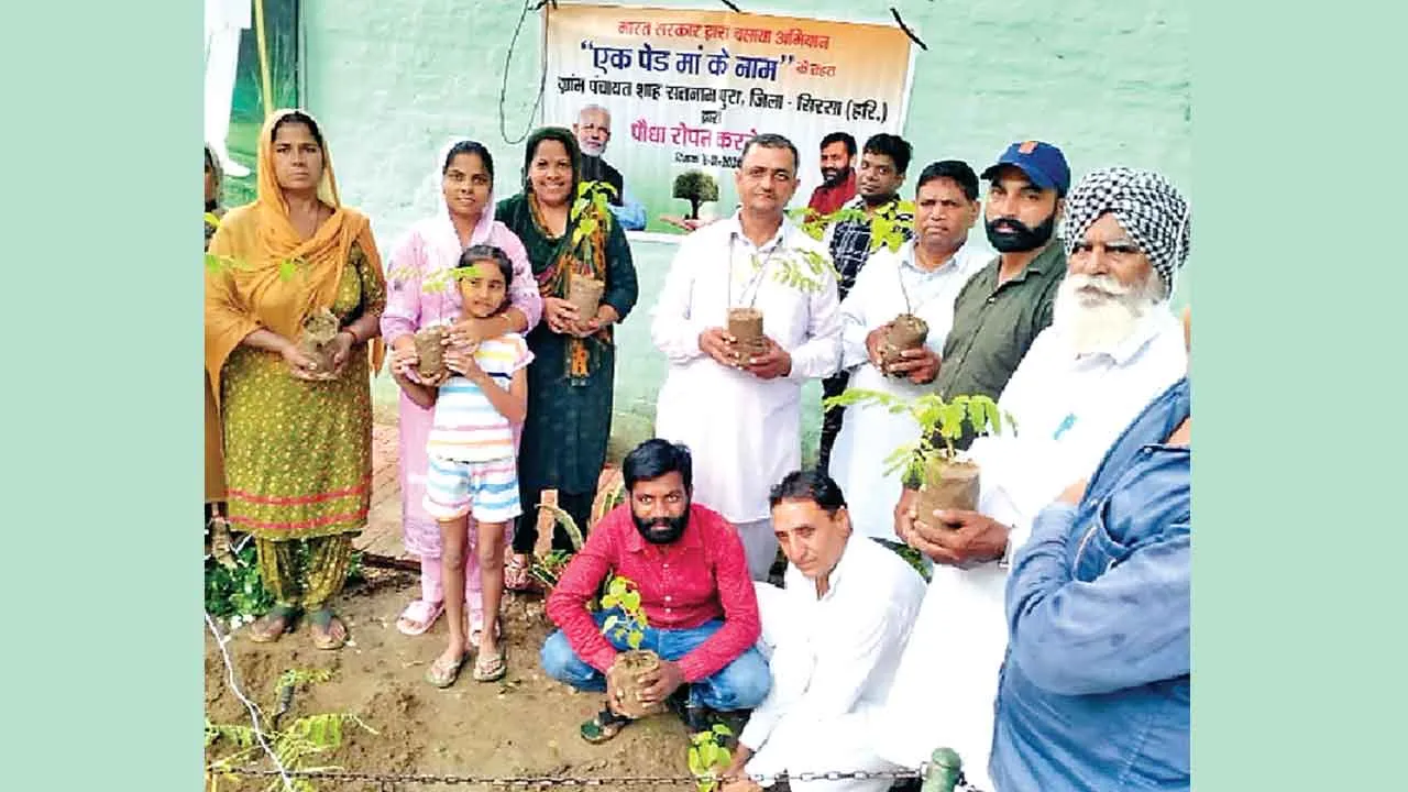 Tree Plantation: शाह सतनाम जी पुरा ग्राम पंचायत की अपील-पेड़ काटने नहीं बल्कि लगाने हैं!