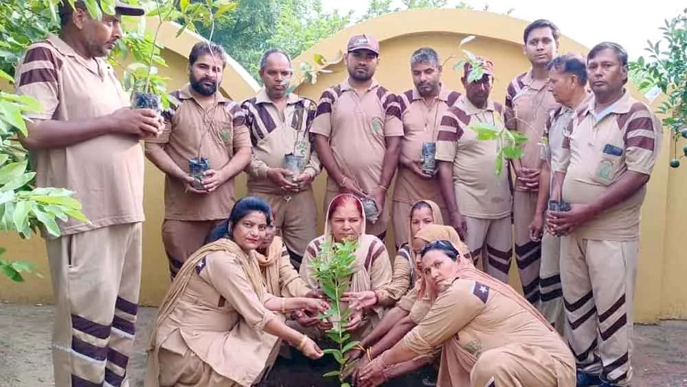 Tree Plantation: ब्लॉक सोनीपत की साध-संगत ने किया पौधारोपण