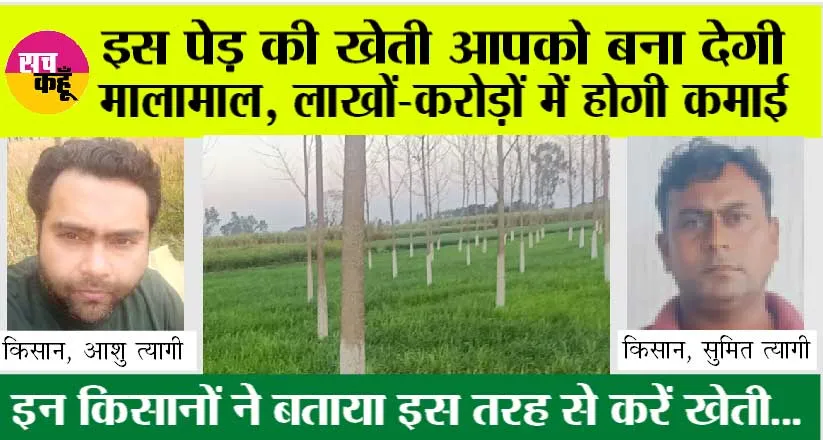 Tree Farming: इस पेड़ की खेती से होगी लाखों रुपये की कमाई, किसान आशु त्यागी, सुमित त्यागी, ने दी इस फसल बारें जानकारी…