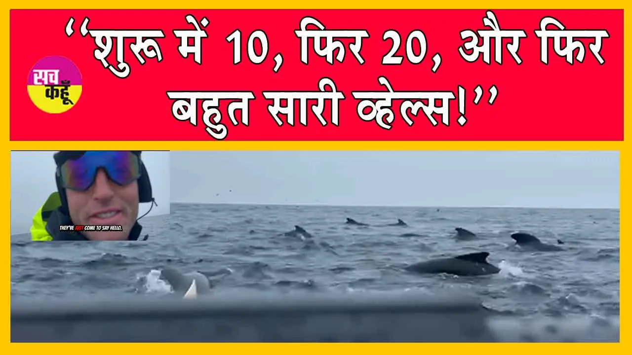 Viral Video: जब हजारों व्हेल्स ने अटलांटिक महासागर में व्यक्ति को घेर लिया! देखें खतरनाक वीडियो