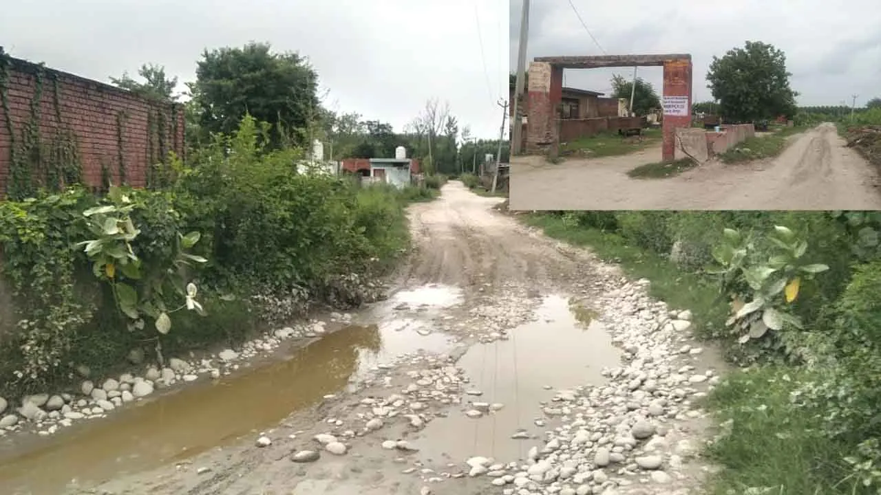 लाकड़-भीलपुरा में खेतों के रास्ते यमुना में अवैध खनन, ओवरलोड वाहनों ने लाकड़ से लेकर कन्यावाला सड़क को कर दिया है गडढों में तब्दील