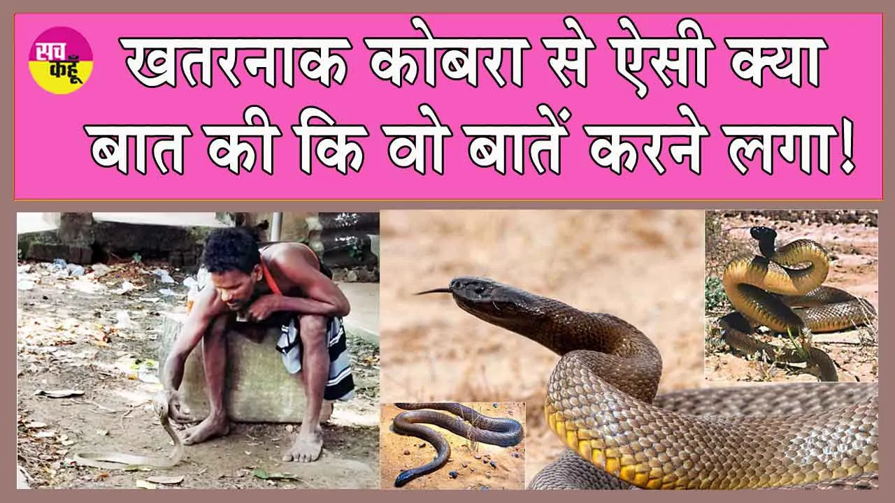 Viral Video: ‘‘ये पागल है क्या? खतरनाक कोबरा के साथ खेल रहा है, उससे बातें कर रहा है!’’