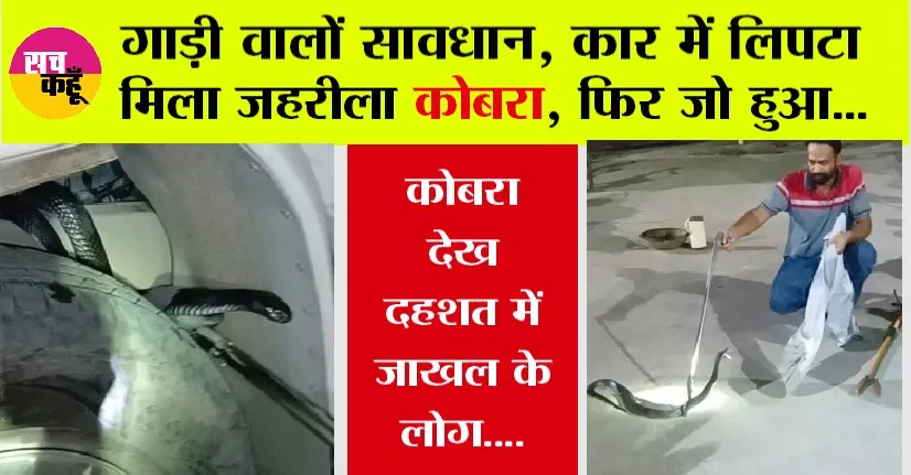 Snake: गाड़ी वालों सावधान, कार में लिपटा मिला जहरीला कोबरा, फिर जो हुआ…