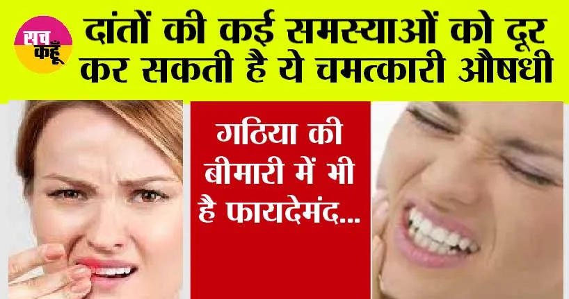Health: दांतों की कई समस्याओं को दूर कर सकती है ये चमत्कारी औषधी, गठिया की बीमारी में भी है फायदेमंद…
