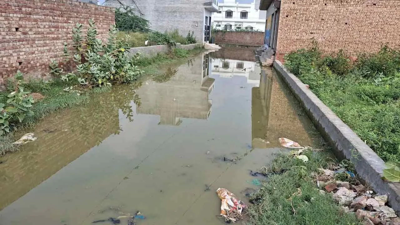 पंजाब कॉलोनी की ओर जाने वाली सड़क पर सीवरेज व्यवस्था बदहाल, सीवरेज के पानी से लोग परेशान