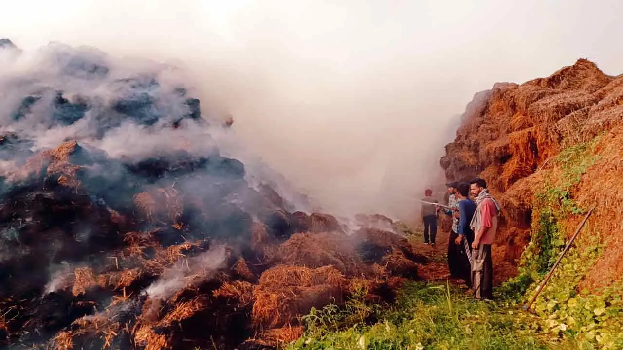 Fire: पराली फैक्टरी में लगी भयानक आग