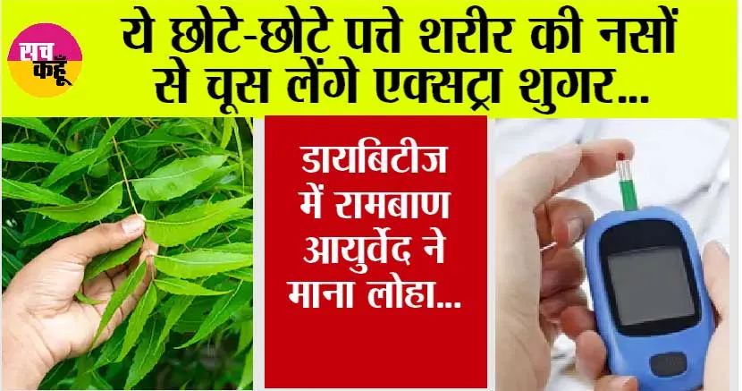नसों सें एक्स्ट्रा शुगर को चूस लेंगे ये पत्ते, डायबिटीज मरीज के लिए रामबाण इलाज, आयुर्वेद ने माना लोहा…