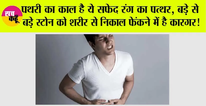 Pathri Ka Ilaj: पथरी का काल है ये सफेद रंग का पत्थर, बड़े से बड़े स्टोन को शरीर से निकाल फेंकने में है कारगर, जानें उपयोग