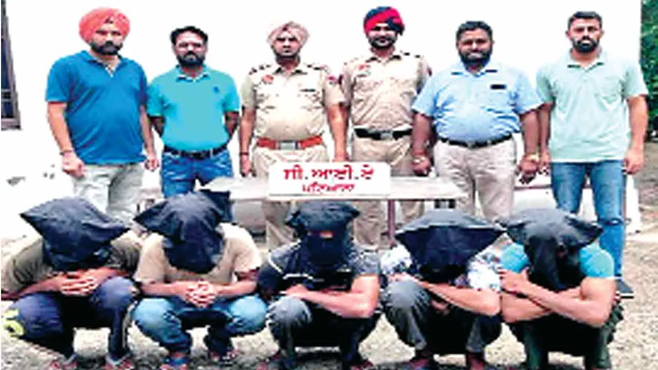 सरकारी गोदामों में चोरी की वारदातों को अंजाम देने वाले गिरोह के 5 सदस्य गिरफ्तार, मामला दर्ज