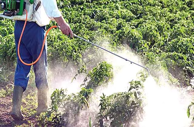 Farmers News: कीटनाशक दवा के असर से दो किसानों की मौत