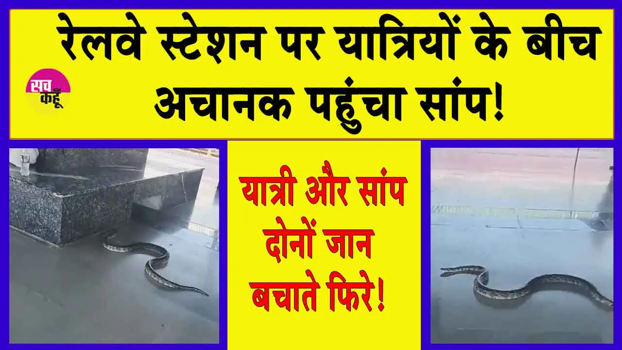 Viral Video: जब रेलवे स्टेशन के प्लेटफॉर्म पर अचानक पहुंचा विशालकाय सांप तो यात्रियों में मची दहशत!