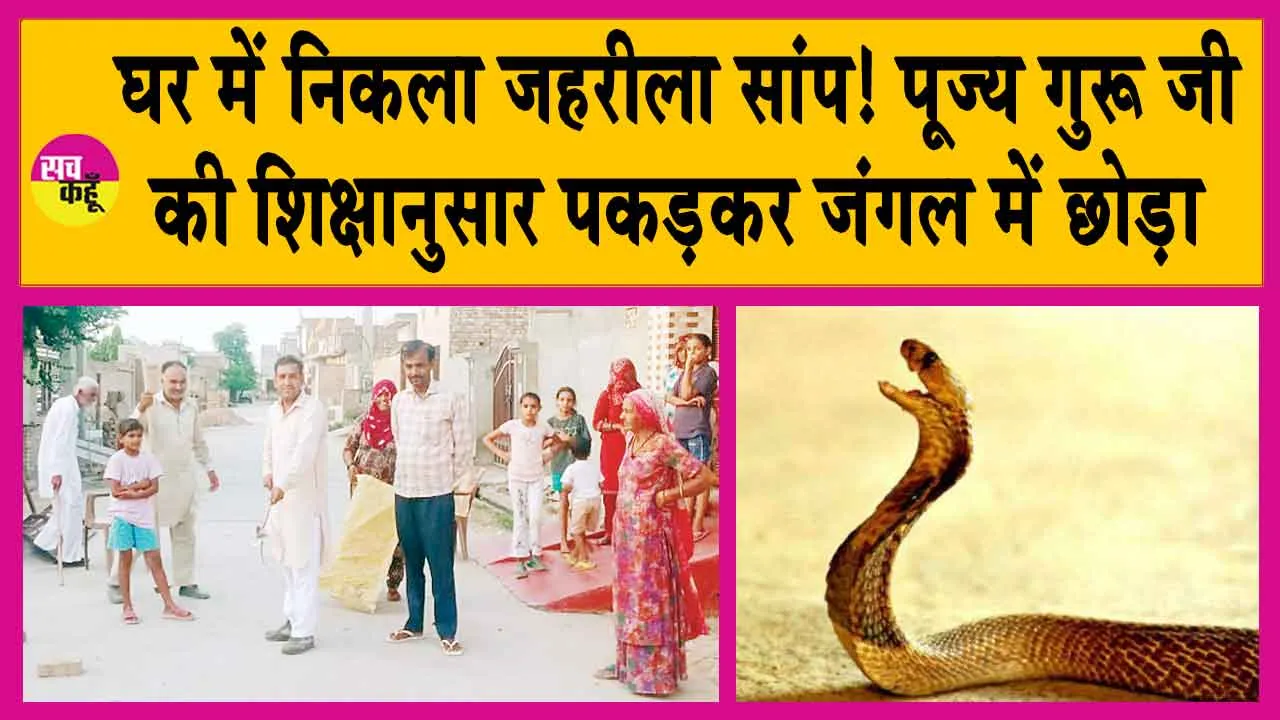 Snake News: घर में निकले जहरीले सांप को पकड़ कर पार किया 250 का आंकड़ा